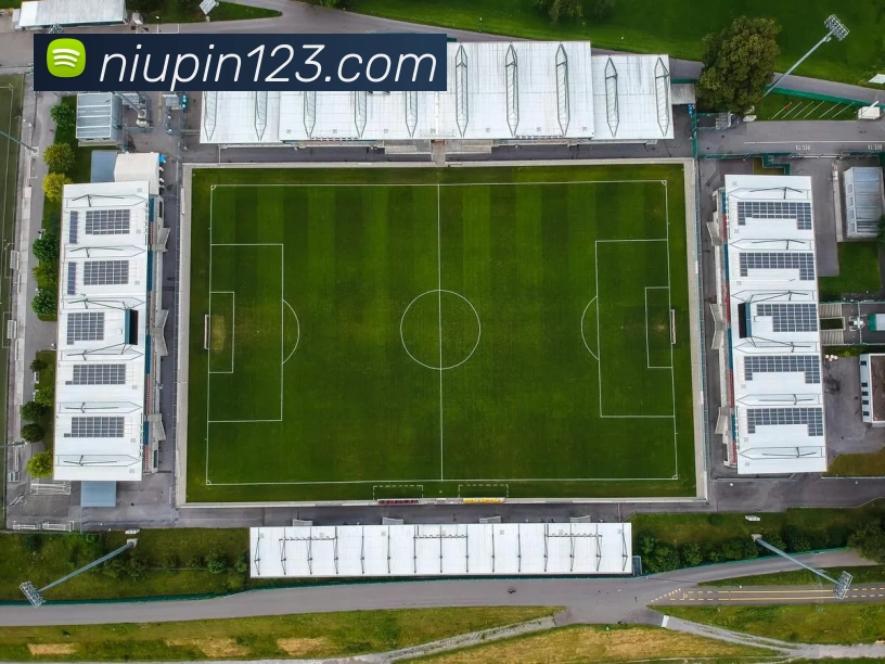 压球首页服务体系